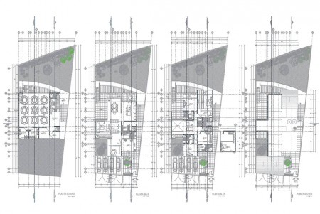 Casa Echegaray (plantas Arquitectónica)